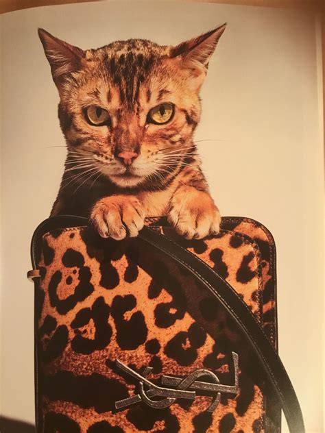 louis vuitton cat print|Louis Vuitton cat supplies.